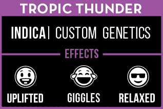 https://www.pixxl.la/_app/immutable/assets/Tropic%20Thunder%20details.9ed7b0ae.png